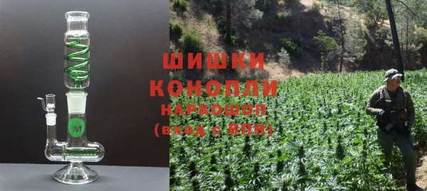 ПСИЛОЦИБИНОВЫЕ ГРИБЫ Киреевск